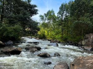 3 Days, 2 Nights Private safari to Aberdare Cottages and fishing lodge
