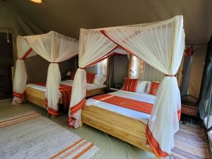 3 Days, 2 Nights PRIVATE SAFARI TO MARA BIG FIVE CAMP